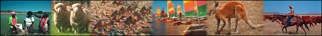 Aussie Things Banner Graphic