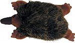 echidna
