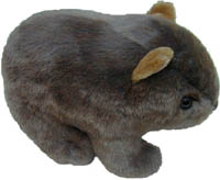 wombat 9"